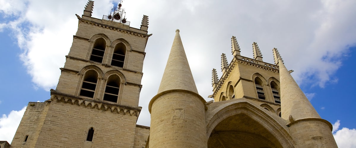 Cathédrale de Montpellier