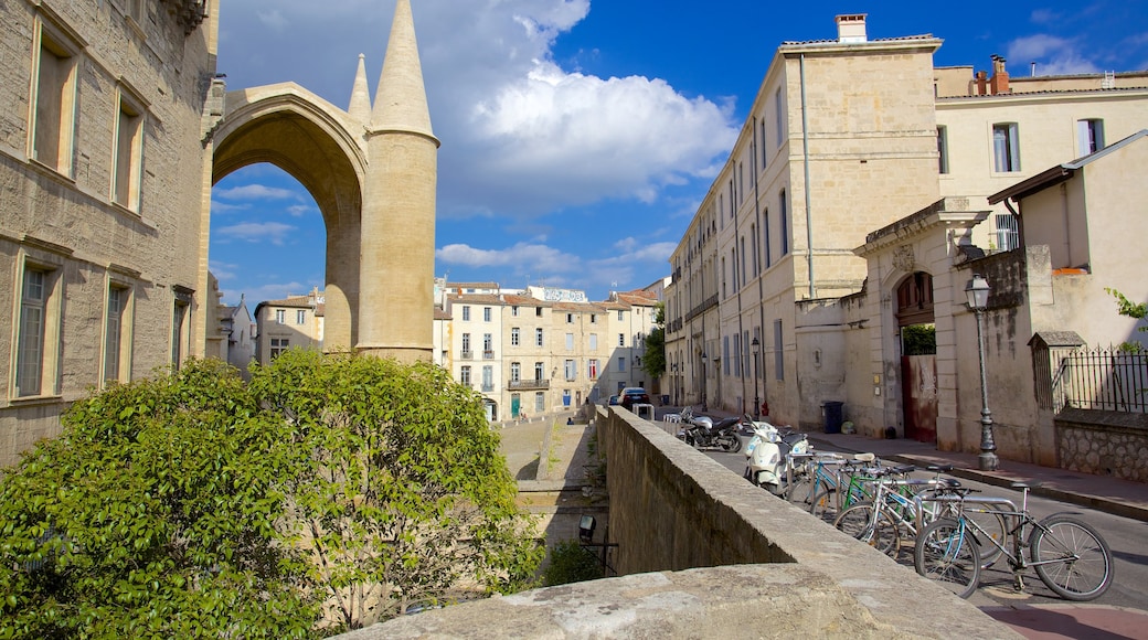 Montpellier Cathedral showing street scenes