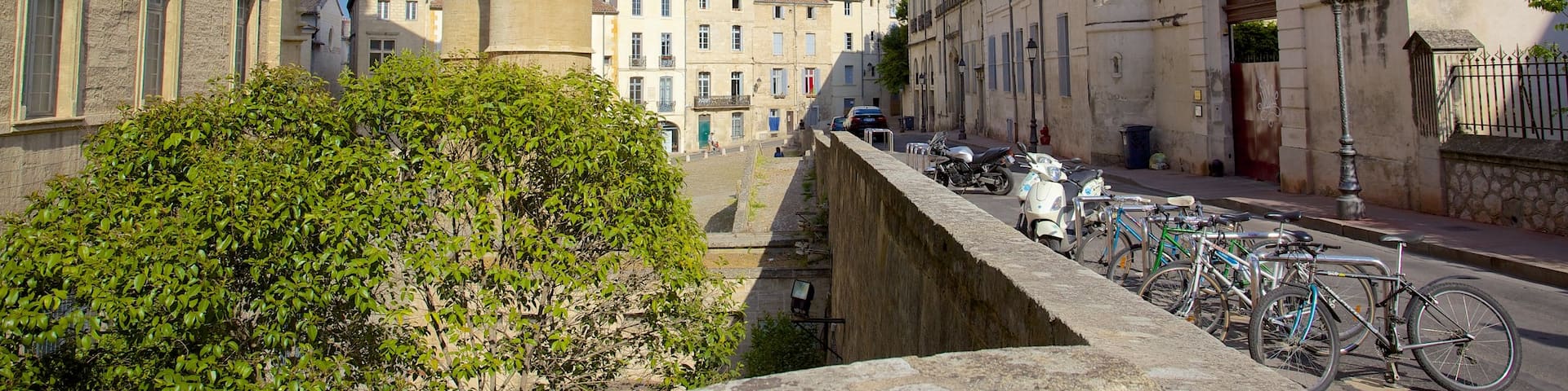Montpellier Cathedral showing street scenes