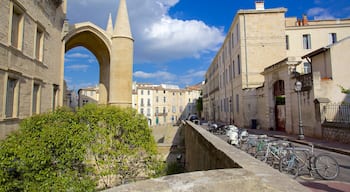 Montpellier Cathedral showing street scenes