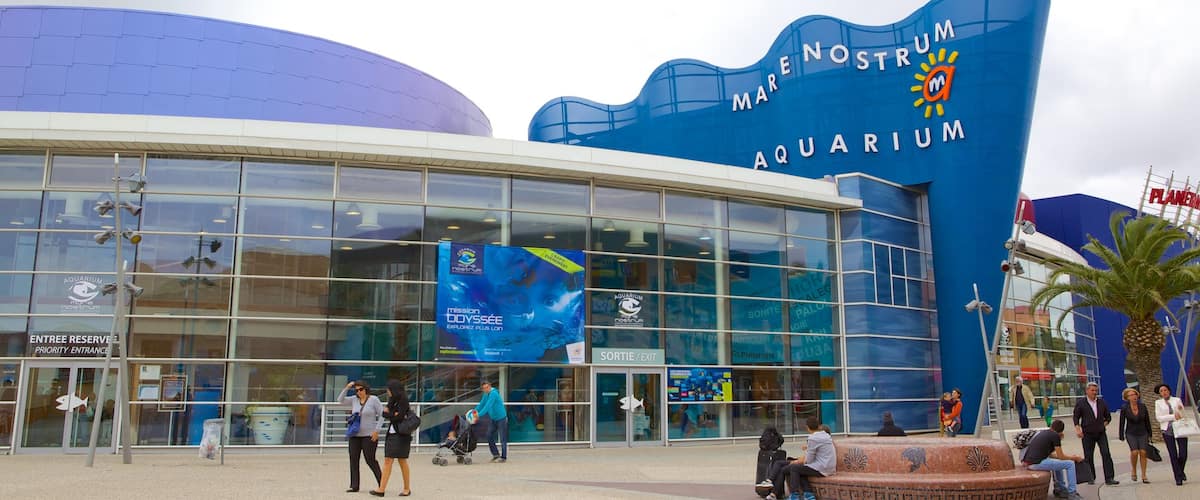 Aquarium Mare Nostrum montrant scènes de rue et vie marine aussi bien que important groupe de personnes