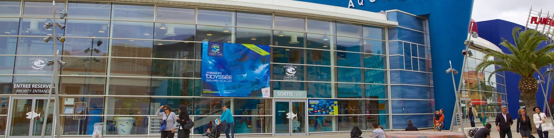 Mare Nostrum Aquarium which includes marine life and street scenes as well as a large group of people