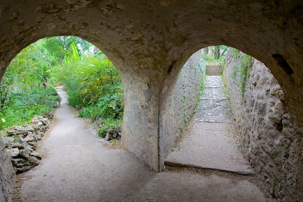 Jardin des plantes de Montpellier montrant patrimoine historique