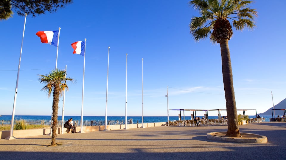 Provence mettant en vedette scènes tropicales