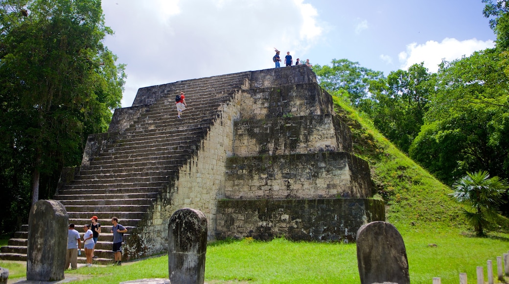 Tikal che include rovine, architettura d\'epoca e oggetti d\'epoca