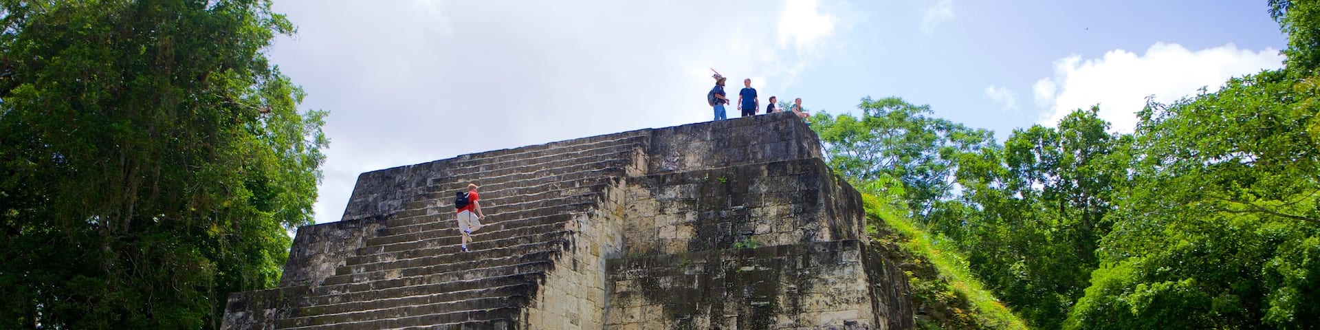 Tikal which includes heritage elements, heritage architecture and a ruin