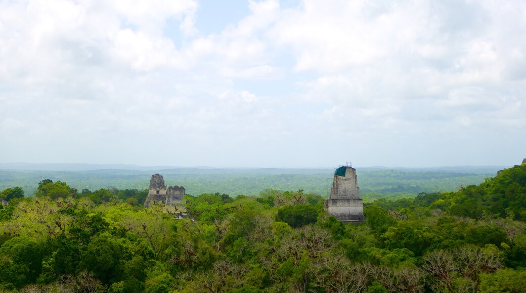 Tikal which includes forest scenes and landscape views