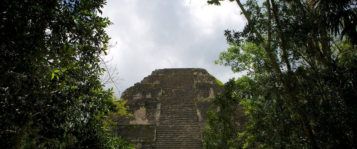 Tikal ofreciendo una ruina y elementos del patrimonio