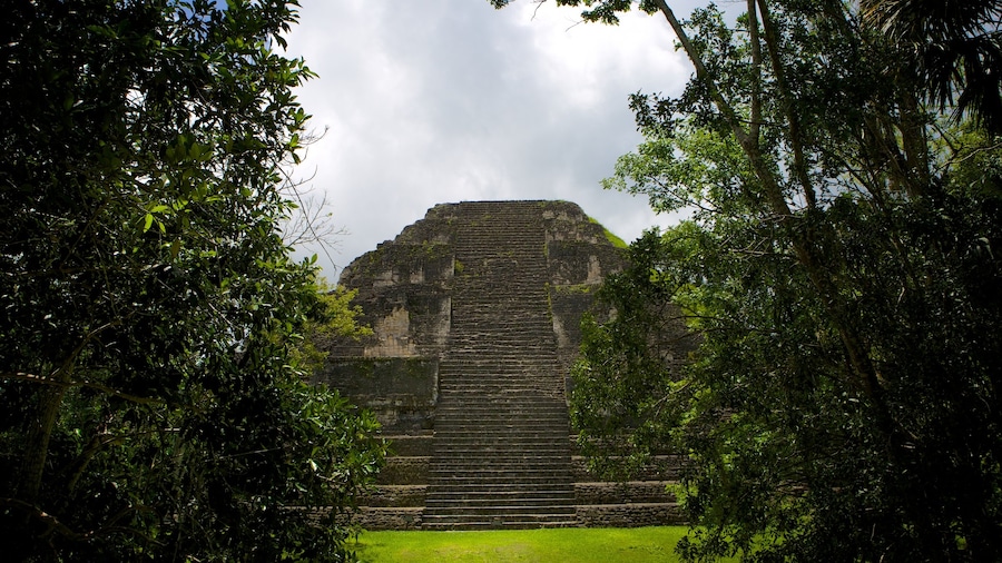 Tikal mostrando elementos patrimoniales y una ruina