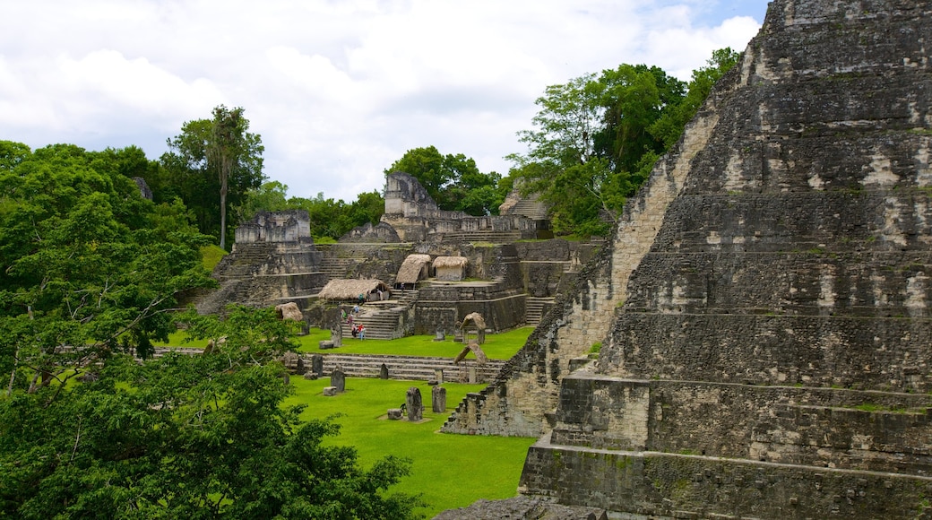 Tikal mettant en vedette panoramas, temple ou lieu de culte et patrimoine architectural