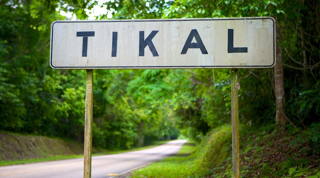 Tikal featuring signage