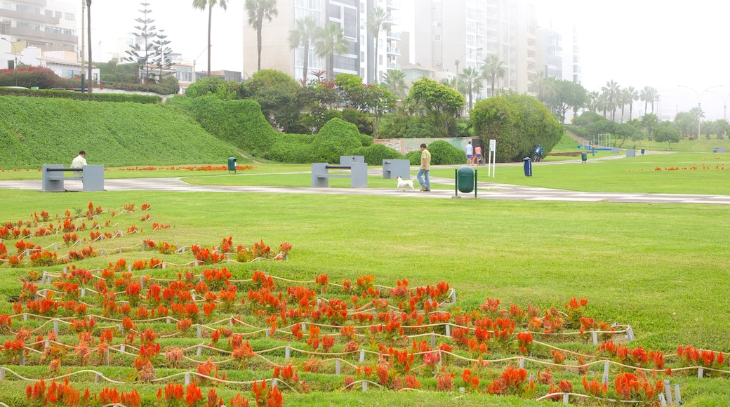 Lima mostrando un parque y flores