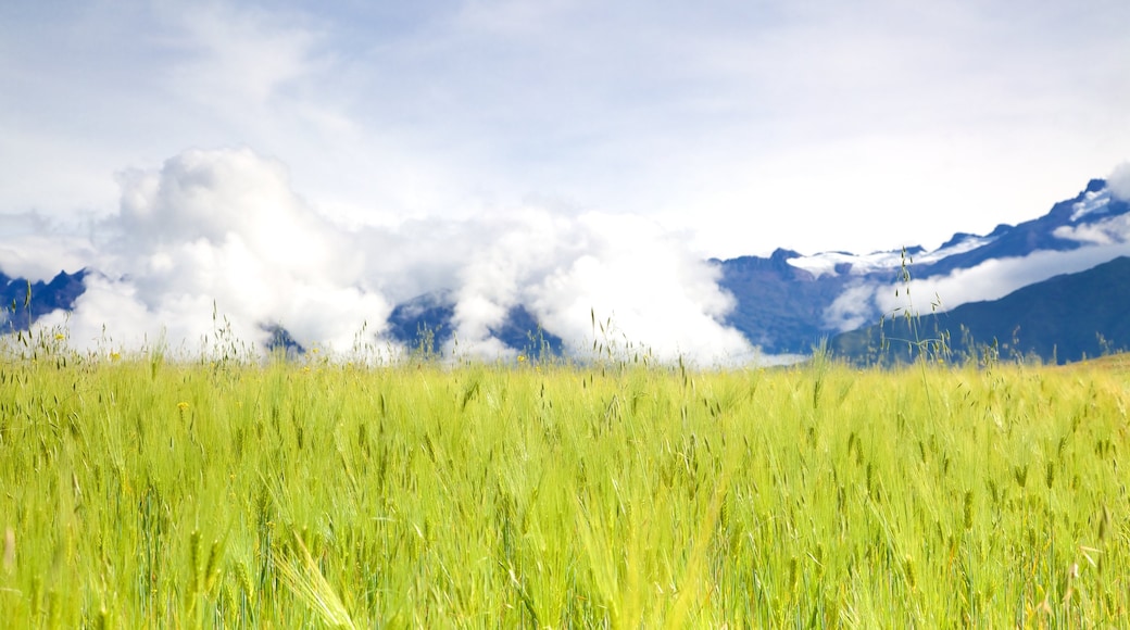 Perú que incluye vistas de paisajes y tierras de cultivo