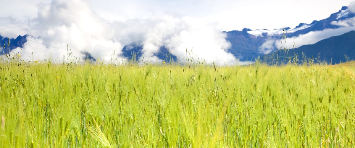 Peru featuring landscape views and farmland
