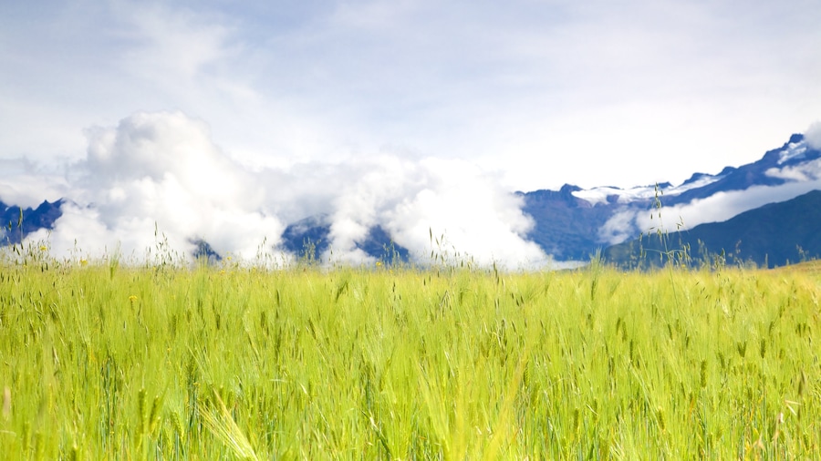 Peru inclusief landschappen en akkerland