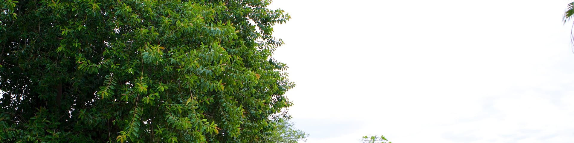 Coco Beach which includes a park