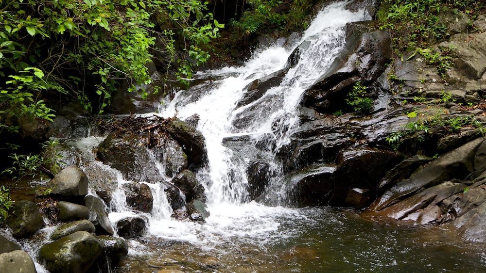 Nationalpark Rincón de la Vieja mit einem Stromschnellen und Wasserfall