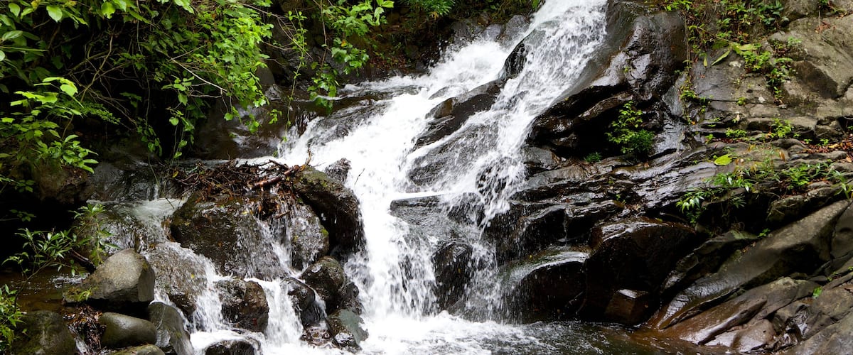 Parc national de Rincon de la Vieja qui includes rapides et une cascade