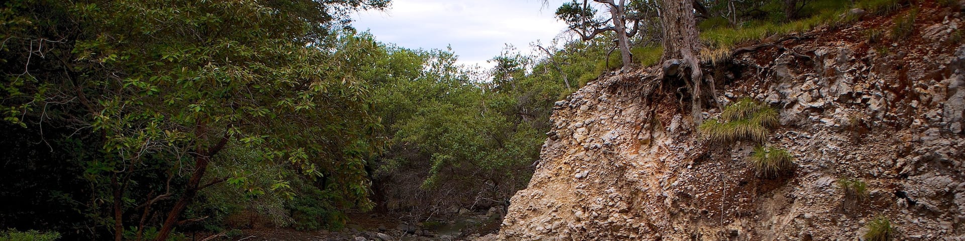 Rincon de la Vieja National Park showing a river or creek