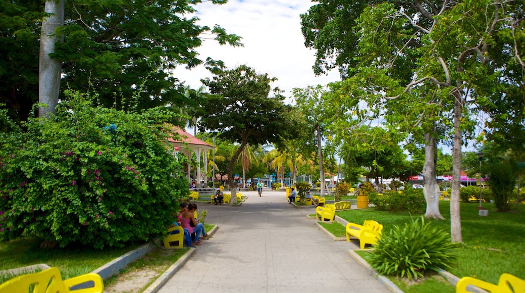 Liberia showing a park