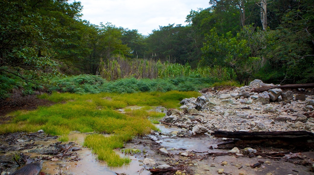 Nationaal park Rincon de la Vieja bevat vredige uitzichten