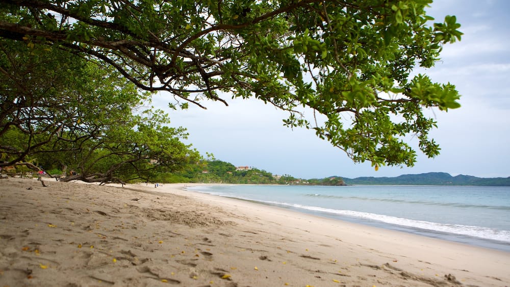 Flamingo Beach featuring a beach