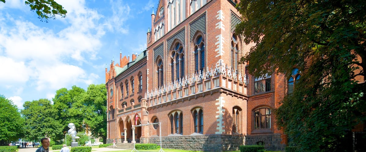 Latvian Art Museum showing street scenes and heritage architecture