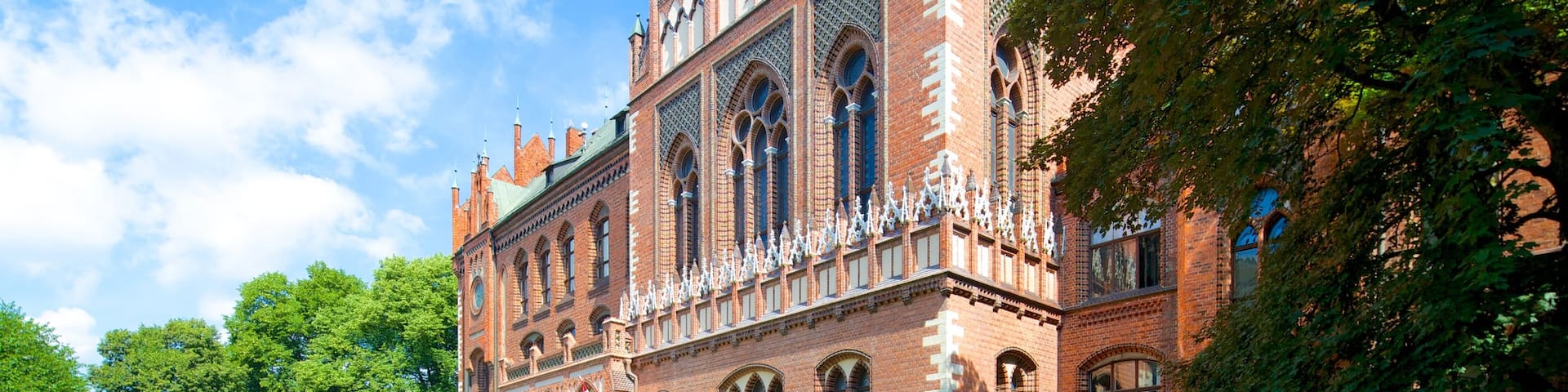 Latvian Art Museum showing street scenes and heritage architecture