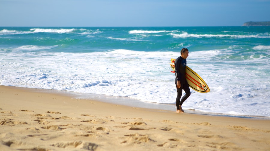 Mole Beach showing a beach and surfing as well as an individual male