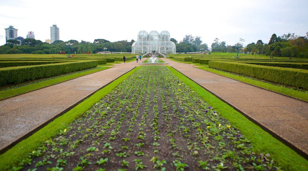 Botanical Garden of Curitiba showing a park