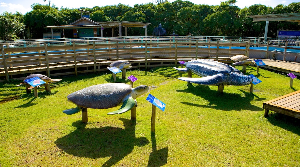 タマール プロジェクト どの含み 動物園の動物