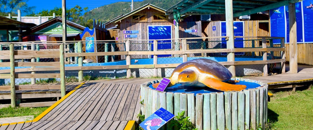 Tamar Project which includes zoo animals