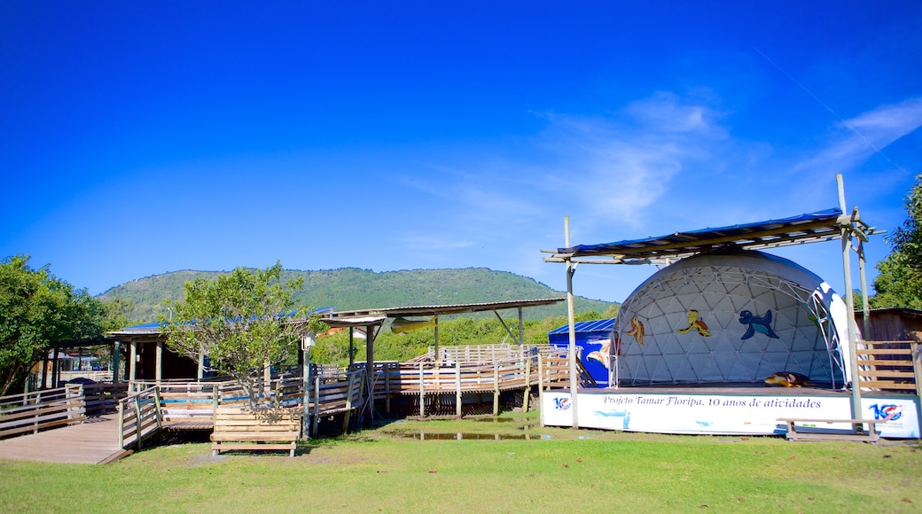 Projeto Tamar mostrando animais de zoológico