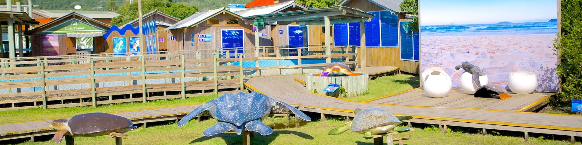 Tamar Project showing zoo animals