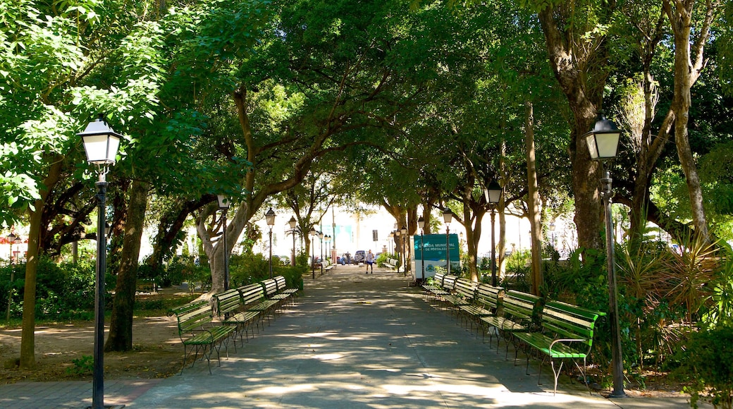 Passeio Publico which includes a garden