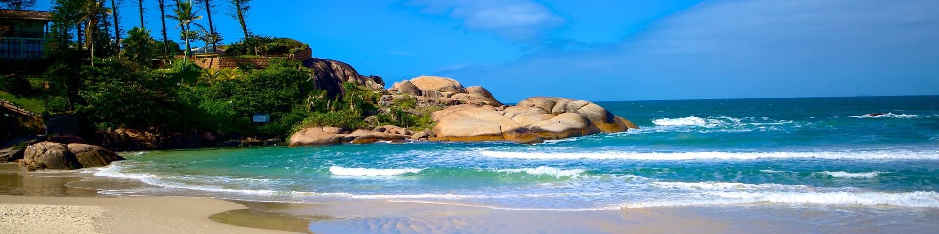 Joaquina Beach featuring a beach