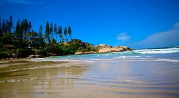 Playa Joaquina mostrando una playa de arena