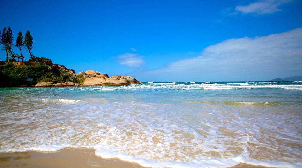 Joaquina Beach showing a beach