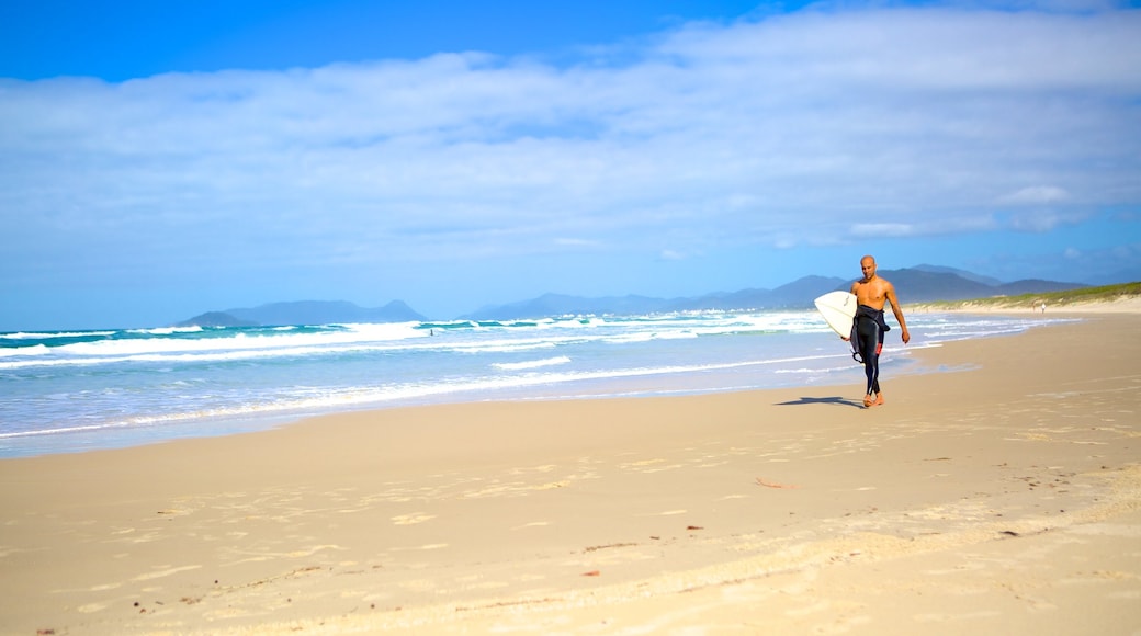 Playa Joaquina que incluye surf y una playa de arena y también un hombre