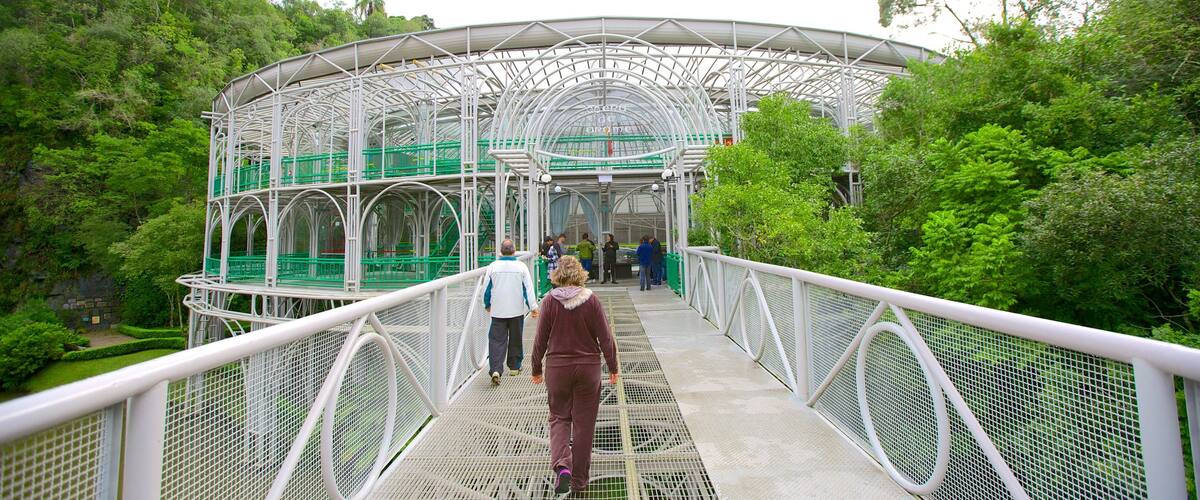 Ópera de Arame que inclui arquitetura moderna e uma ponte assim como um pequeno grupo de pessoas