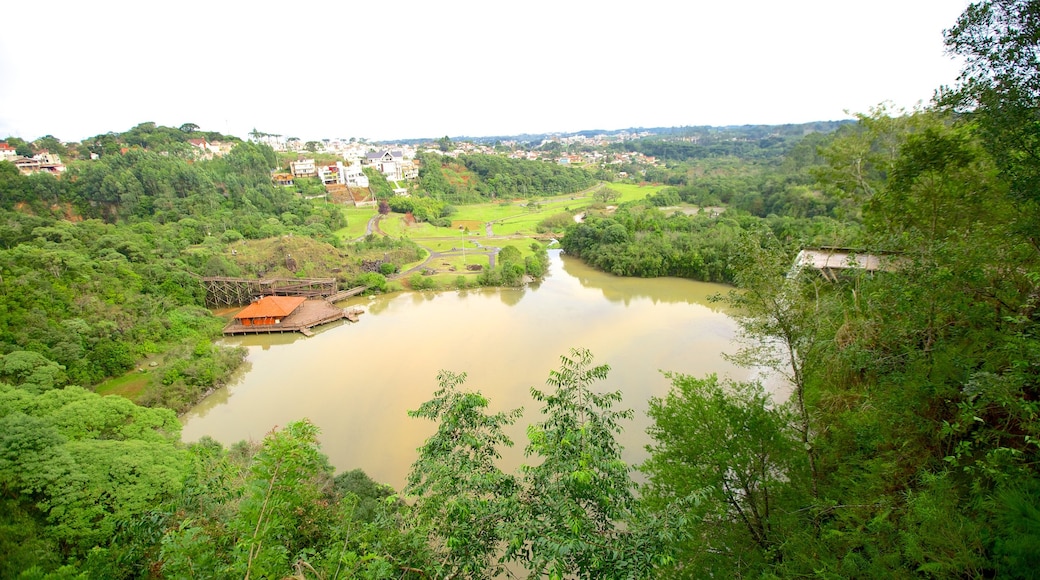 Tangua Park showing forests and a pond