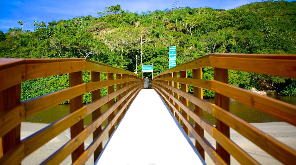 Praia do Matadeiro mostrando uma ponte