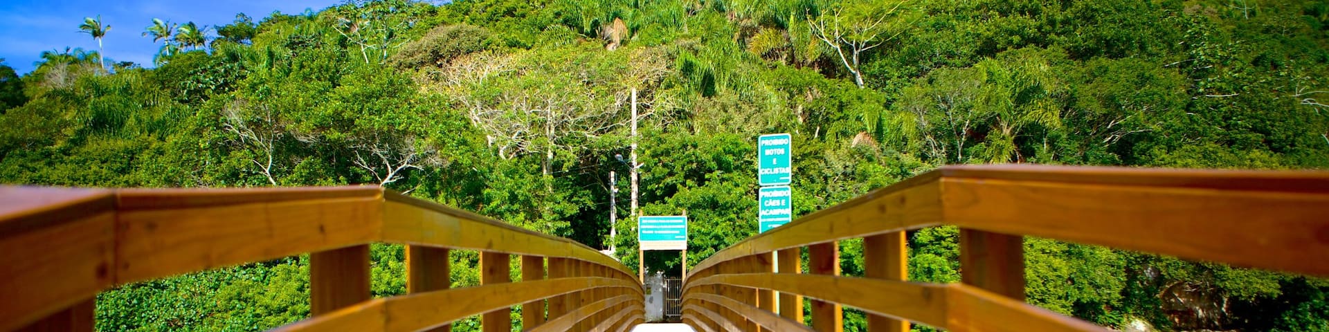 Matadeiro Beach which includes a bridge