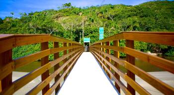 Spiaggia di Matadeiro che include ponte