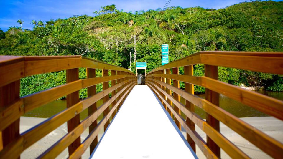 Matadeiro Beach which includes a bridge