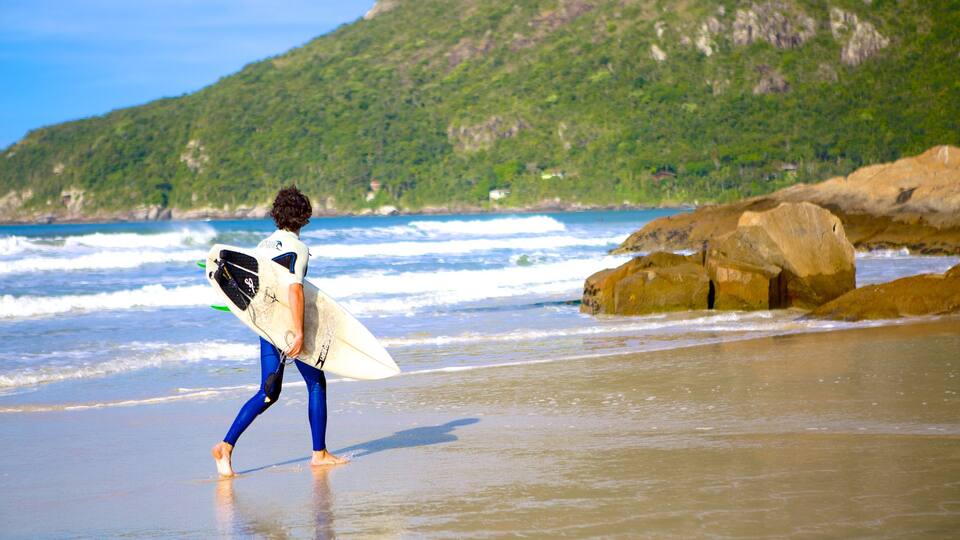 Matadeiro Beach showing a beach and surfing as well as an individual male