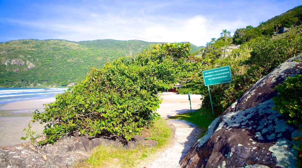 Matadeiro Beach showing general coastal views