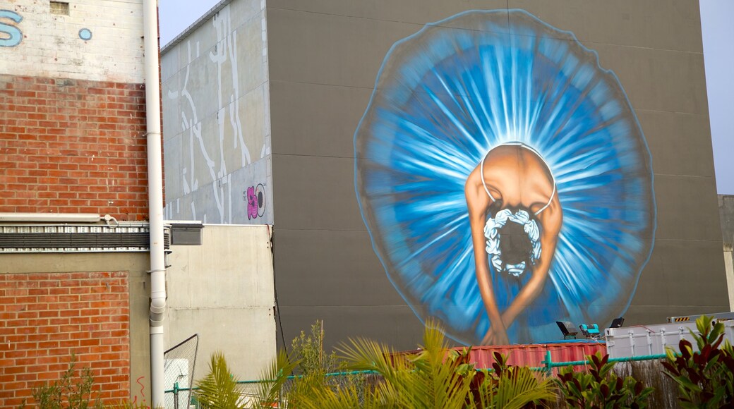 Christchurch caratteristiche di arte urbana