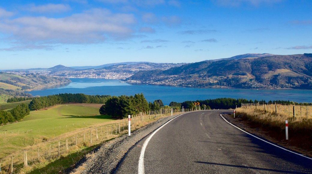 Dunedin caratteristiche di terreno coltivato e vista del paesaggio