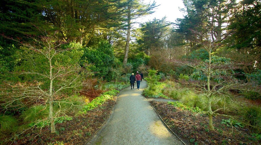 Larnach Castle featuring a garden, forest scenes and hiking or walking